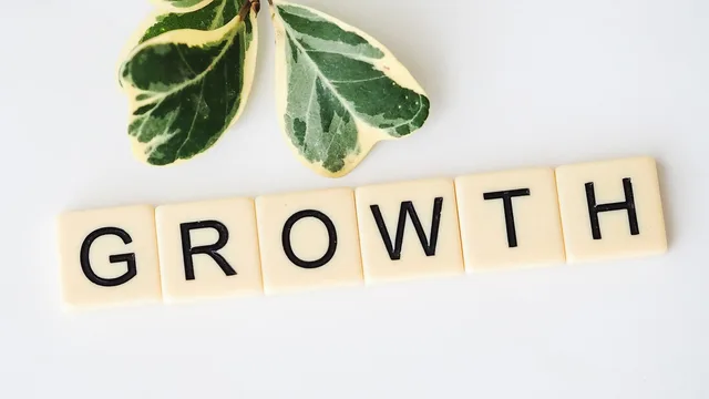 growth, grow, growing, nature, plant, tree, hope, leaves, green, progress, success, progress, progress, progress, progress, progress. Download Acceptance Checks for Marketing Plan Templates